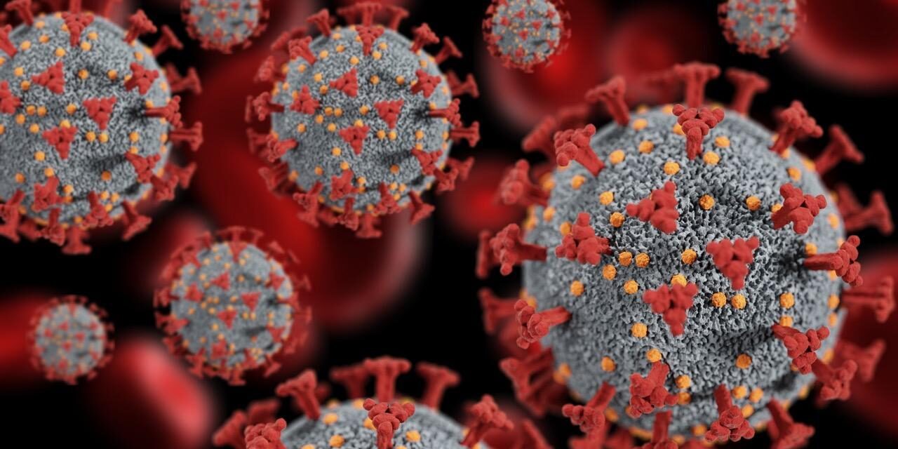 On Your November Ballot: Prop 38 Would Allocate $8.4 Billion to Immunology and Immunotherapy Funding