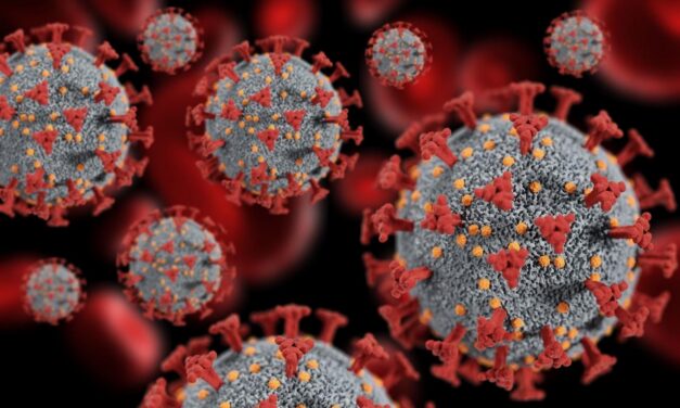 On Your November Ballot: Prop 38 Would Allocate $8.4 Billion to Immunology and Immunotherapy Funding