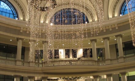 A City Short on Homes Has an Empty Mall. Somebody Wants to Fill It With Servers.
